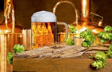 Beer Making