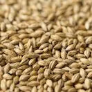 Gladfield Distillers Malt (Whole)