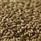 Gladfield Biscuit Malt (Whole)