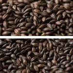 Gladfield Light Chocolate Malt (Whole)