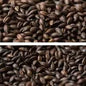Gladfield Light Chocolate Malt (Whole)