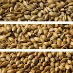 Gladfield Dark Crystal (Whole)