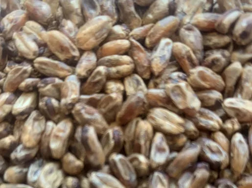 Gladfield Crystal Wheat Malt (Whole)