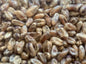 Gladfield Crystal Wheat Malt (Whole)
