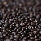 Gladfield Eclipse Wheat Malt (Whole)