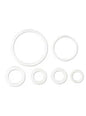 GF30 Fermenter Dual Valve Tap Seals (10241)