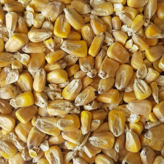 Gladfield Maize Malt (now pre-milled at Gladfield)
