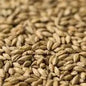 Gladfield Manuka Smoked Malt (Whole)