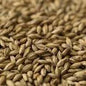 Gladfield Peat Smoked Malt (Whole)