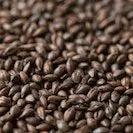 Gladfield Roasted Barley (Whole)