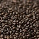 Gladfield Roasted Wheat (Whole)