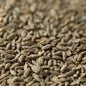 Gladfield Rye Malt (Whole)