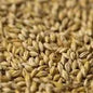 Gladfield Sour Grapes Malt (Whole)