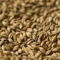 Gladfield Supernova Malt (Whole)