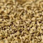 Gladfield Toffee Malt (Whole)