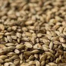 Gladfield Vienna Malt (Whole)