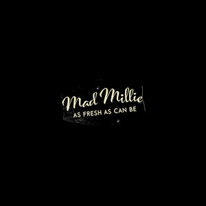Cheese Culture (Mesophilic)