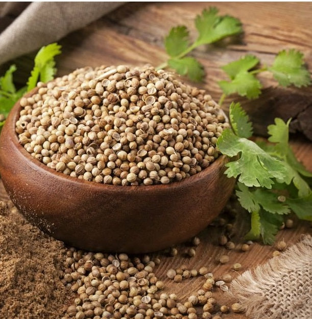 Whole Coriander Seeds